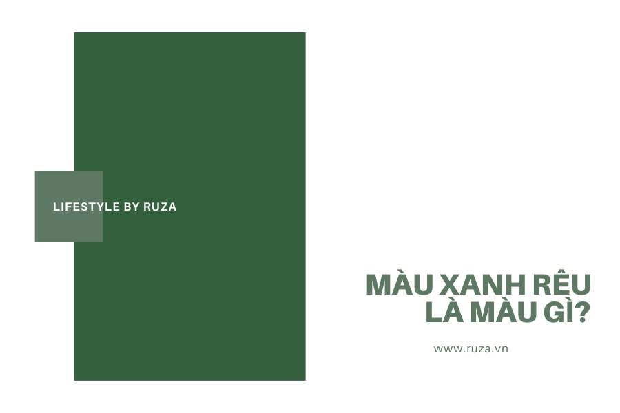 Màu Xanh Rêu Là Gì? Kết Hợp Với Màu Nào Sẽ Là Đẹp Nhất 1 Màu xanh rêu là màu gì?