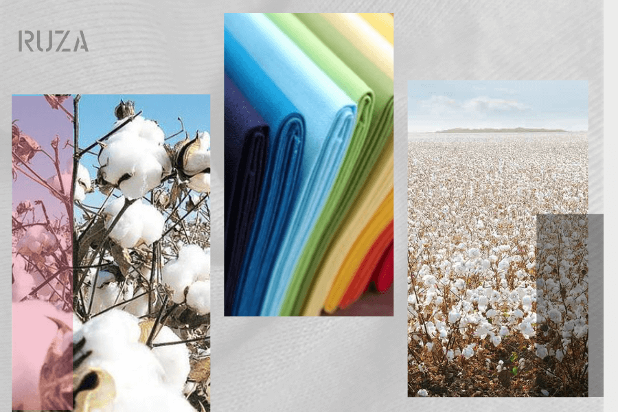 Vải cotton là gì? Ưu nhược điểm và các loại vải cotton hiện nay 3 Nguồn gốc xuất xứ của vải cotton
