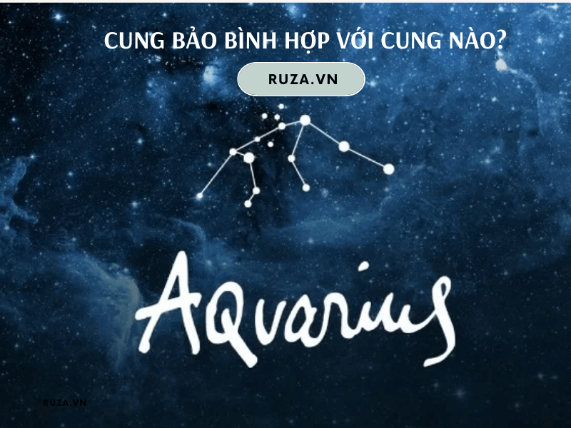 Cung Bảo Bình Hợp Màu Gì? Tìm Hiểu Màu Sắc Đem Lại Tài Lộc 7 Cung Bảo Bình hợp với cung nào?