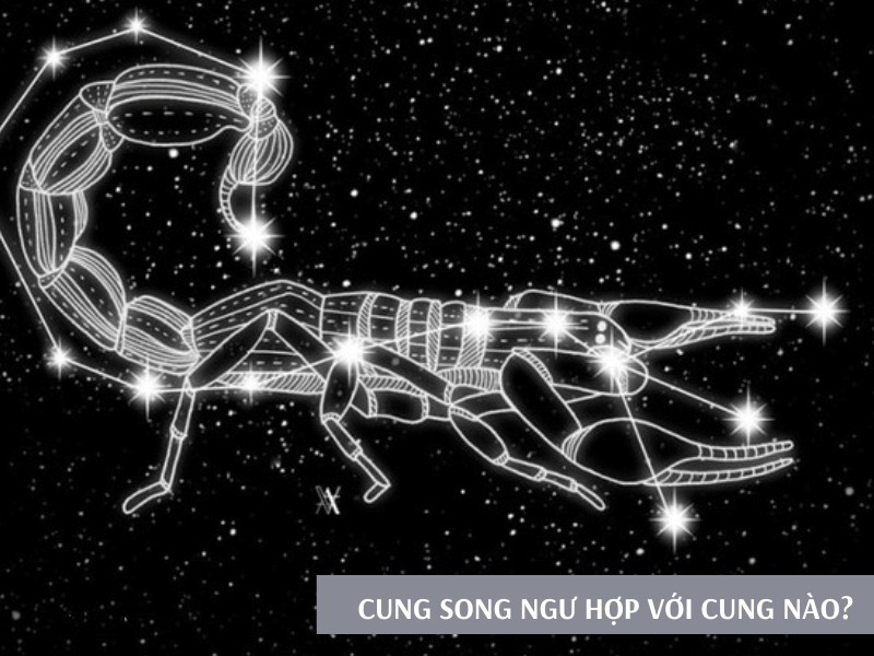 Cung Bọ Cạp Hợp Màu Gì? Các Màu Sắc Vận May Cho Bọ Cạp 7 Cung Bọ Cạp hợp cung nào?