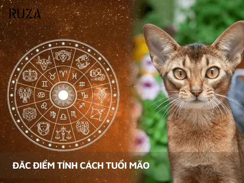 Tuổi Mão hợp màu gì? Gợi ý màu sắc trang phục đen lại may mắn 2 Đặc điểm người tuổi Mão