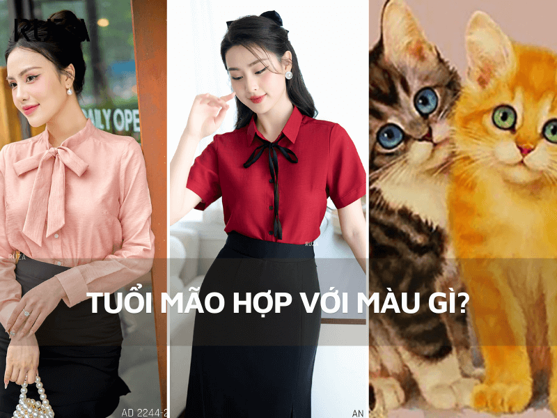 Tuổi Mão hợp màu gì? Gợi ý màu sắc trang phục đen lại may mắn 1 Tuổi Mão hợp màu gì? Gợi ý màu sắc trang phục đen lại may mắn