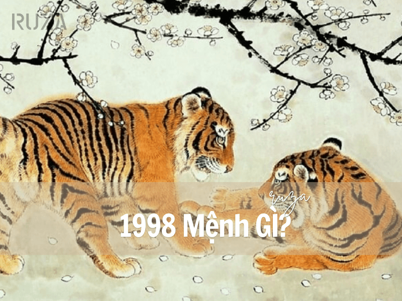 1998 Hợp Màu Gì? Mệnh Gì & Chọn Trang Phục Như Thế Nào? 1 Sinh năm 1998 mệnh gì?