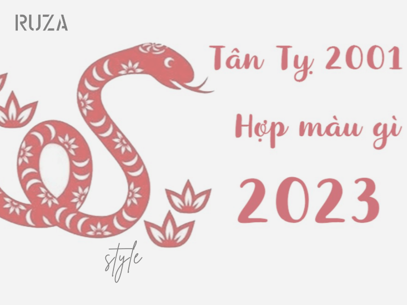 Tuổi Tân Tỵ 2001 Mệnh Gì? Hợp Với Tuổi Gì, Hợp Màu Gì? 5 Tuổi Tân Tỵ sinh năm 2001 hợp màu gì