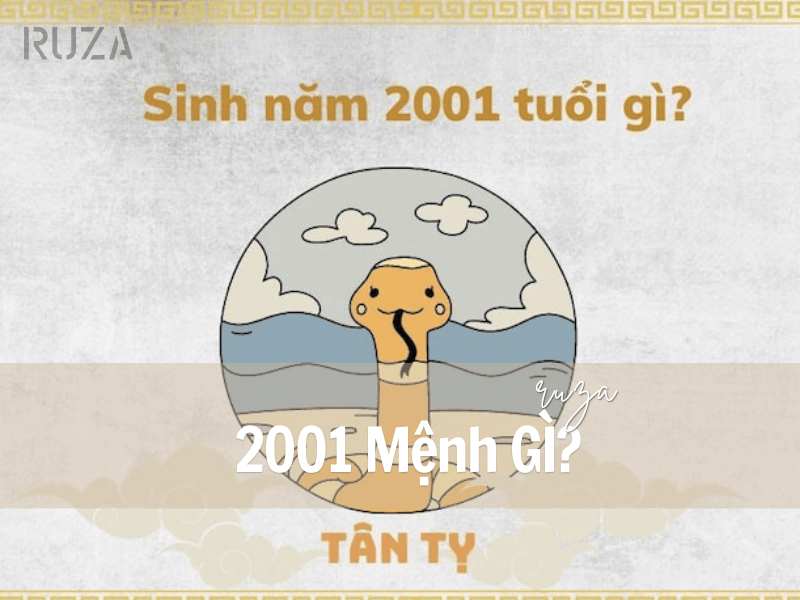 Tuổi Tân Tỵ 2001 Mệnh Gì? Hợp Với Tuổi Gì, Hợp Màu Gì? 1 Người sinh năm 2001 mệnh gì?
