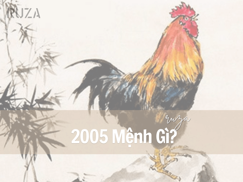 Tuổi Ất Dậu 2005 Mệnh Gì? Hợp Với Tuổi Nào, Hợp Màu Nào? 1 2005 mệnh gì?
