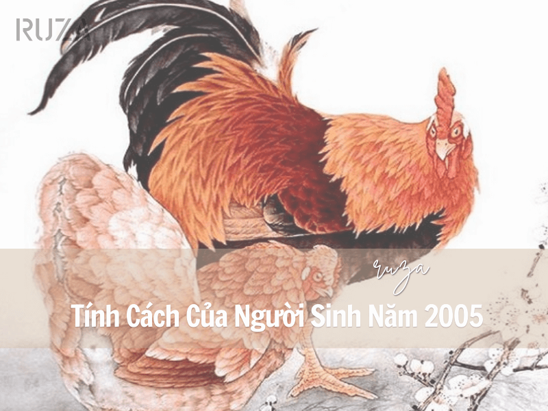 Tuổi Ất Dậu 2005 Mệnh Gì? Hợp Với Tuổi Nào, Hợp Màu Nào? 4 Tính cách của người sinh năm 2005