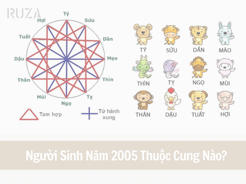 Tuổi Ất Dậu 2005 Mệnh Gì? Hợp Với Tuổi Nào, Hợp Màu Nào? 5 Sinh năm 2005 thuộc cung nào
