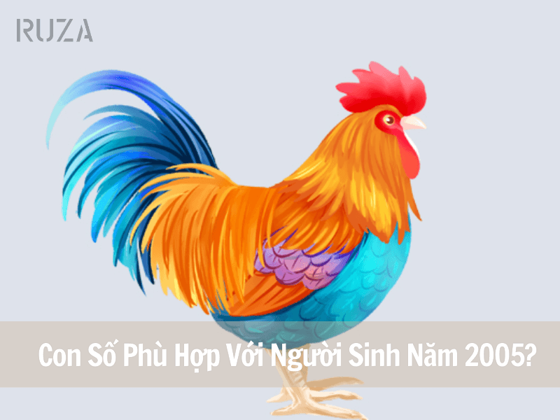 Tuổi Ất Dậu 2005 Mệnh Gì? Hợp Với Tuổi Nào, Hợp Màu Nào? 7 Con số phù hợp với người sinh năm 2005