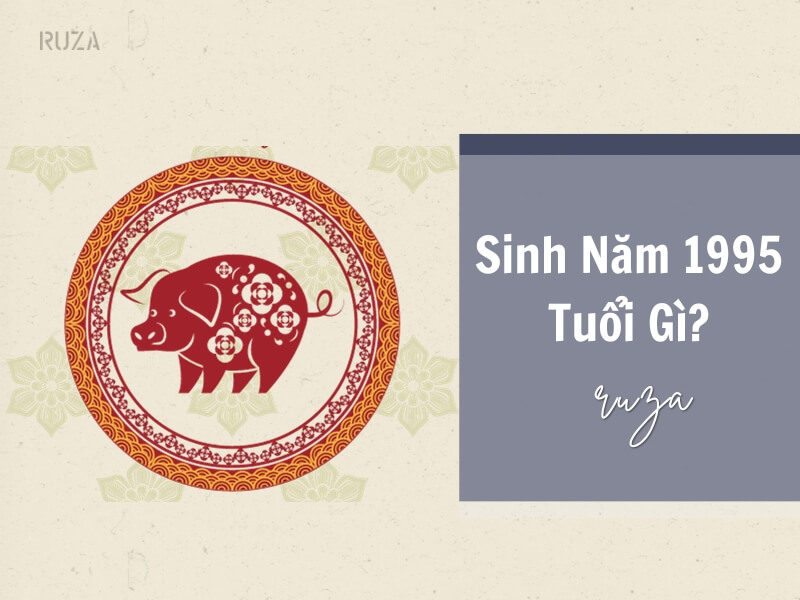 Tuổi Ất Hợi 1995 Mệnh Gì? Hợp Với Tuổi Gì, Hợp Màu Gì? 3 Sinh năm 1995 tuổi gì?