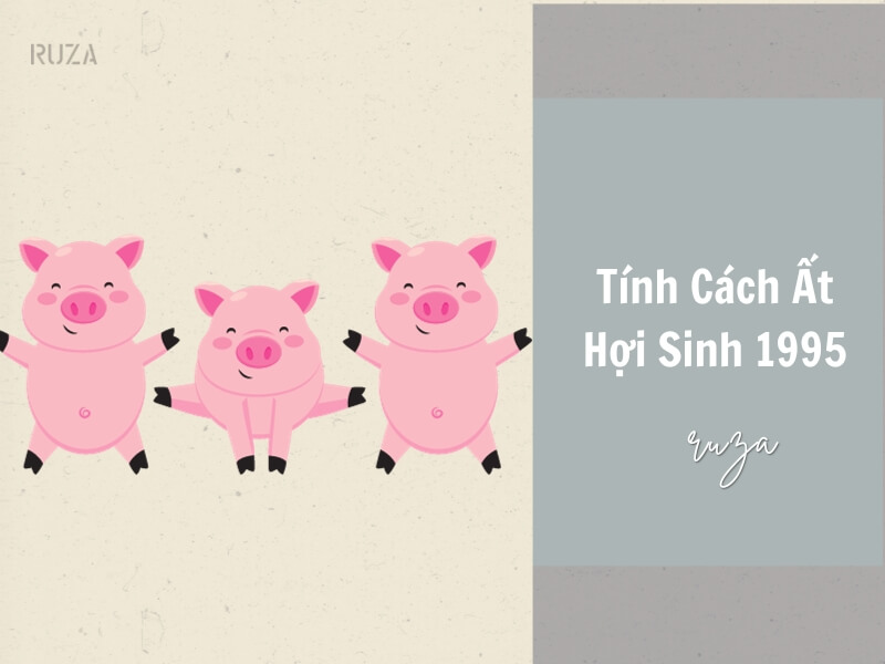 Tuổi Ất Hợi 1995 Mệnh Gì? Hợp Với Tuổi Gì, Hợp Màu Gì? 4 Tính cách của người tuổi Ất Hợi sinh năm 1995