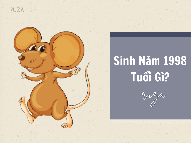 Sinh năm 1996 tuổi gì