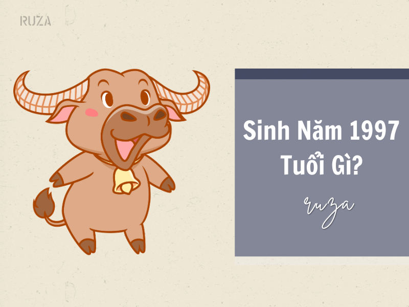 Sinh năm 1997 tuổi gì?