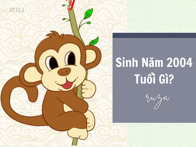 Tuổi Giáp Thân 2004 Mệnh Gì? Hợp Với Tuổi Gì, Hợp Màu Gì? 3 Sinh năm 2004 tuổi gì?