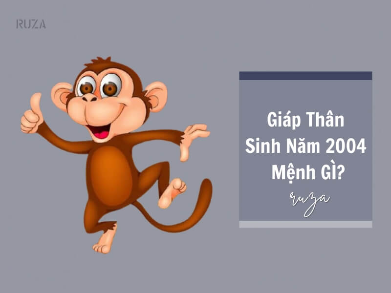 Tuổi Giáp Thân 2004 Mệnh Gì? Hợp Với Tuổi Gì, Hợp Màu Gì? 1 Sinh năm 2004 mệnh gì?