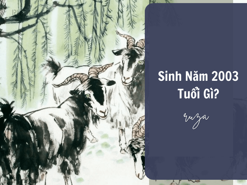 Tuổi Quý Mùi 2003 Mệnh Gì? Hợp Với Tuổi Gì, Hợp Màu Gì? 3 Sinh năm 2003 tuổi gì?