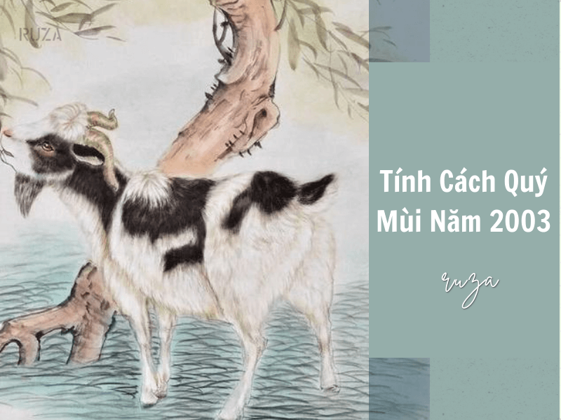 Tuổi Quý Mùi 2003 Mệnh Gì? Hợp Với Tuổi Gì, Hợp Màu Gì? 4 Tính cách của người Quý Mùi sinh năm 2003