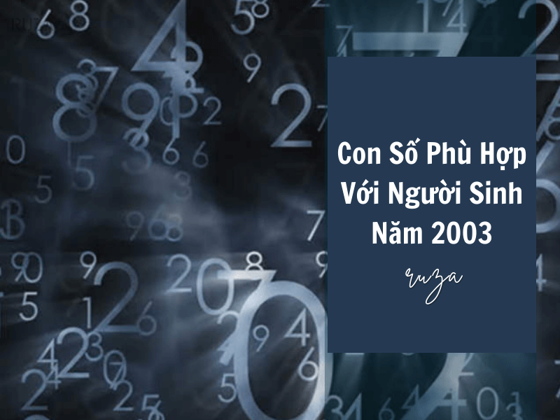 Tuổi Quý Mùi 2003 Mệnh Gì? Hợp Với Tuổi Gì, Hợp Màu Gì? 7 Các con số phù hợp với người sinh năm 2003