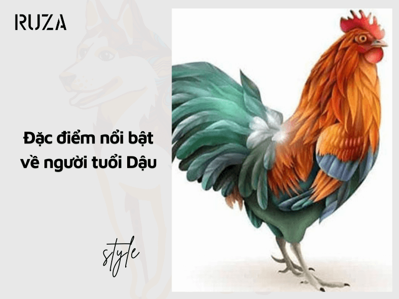Tuổi Dậu hợp màu gì? Bí quyết chọn màu sắc mang lại MAY MẮN 3 Đôi nét về người tuổi dậu