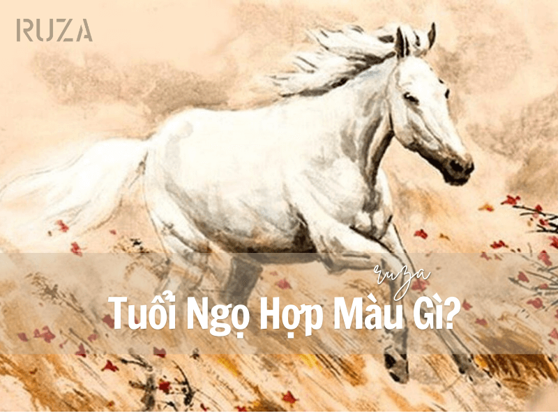 Tuổi Ngọ Hợp Màu Gì? Gợi Ý Màu Trang Phục May Mắn 1 Tuổi Ngọ hợp màu gì?