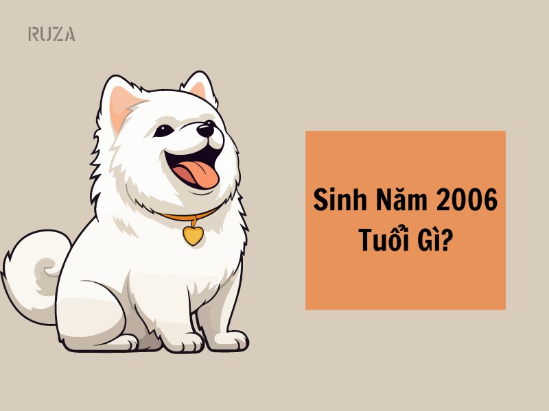 Sinh năm 2006 tuổi gì?