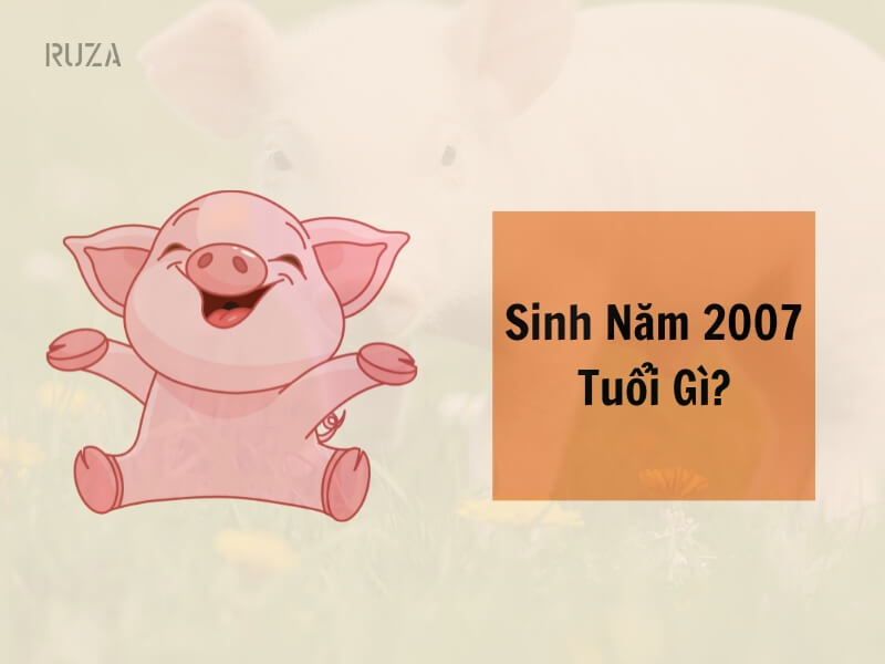 Tuổi Đinh Hợi 2007 Mệnh Gì? Hợp Với Tuổi Gì, Hợp Màu Gì? 3 Sinh năm 2007 tuổi gì?