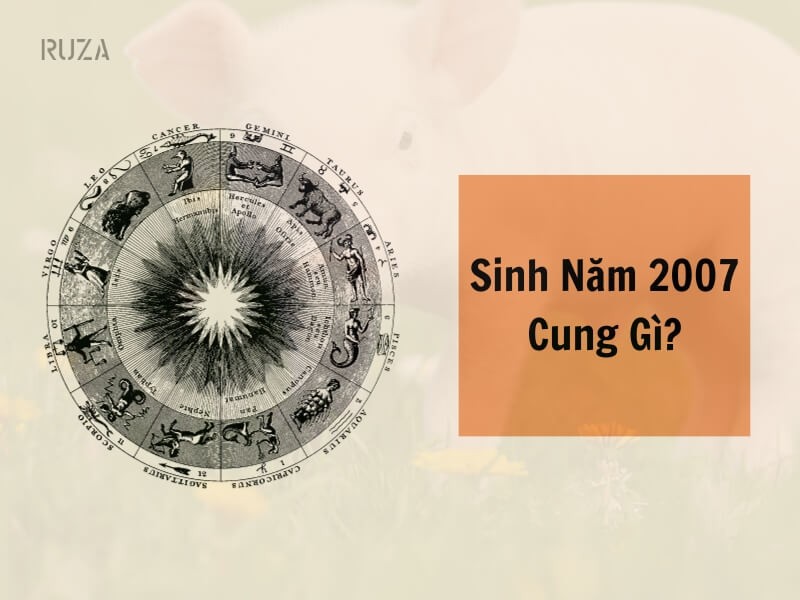 Tuổi Đinh Hợi 2007 Mệnh Gì? Hợp Với Tuổi Gì, Hợp Màu Gì? 5 Sinh năm 2007 thuộc cung gì?