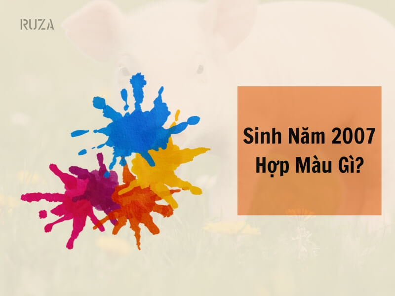 Tuổi Đinh Hợi 2007 Mệnh Gì? Hợp Với Tuổi Gì, Hợp Màu Gì? 6 Sinh năm 2007 hợp với màu gì?