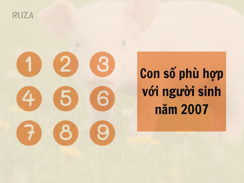 Tuổi Đinh Hợi 2007 Mệnh Gì? Hợp Với Tuổi Gì, Hợp Màu Gì? 7 Con số họp với người sinh năm 2007