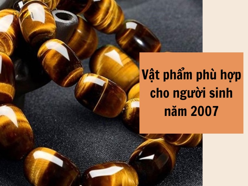 Tuổi Đinh Hợi 2007 Mệnh Gì? Hợp Với Tuổi Gì, Hợp Màu Gì? 8 Vật phẩm hợp với người sinh năm 2007