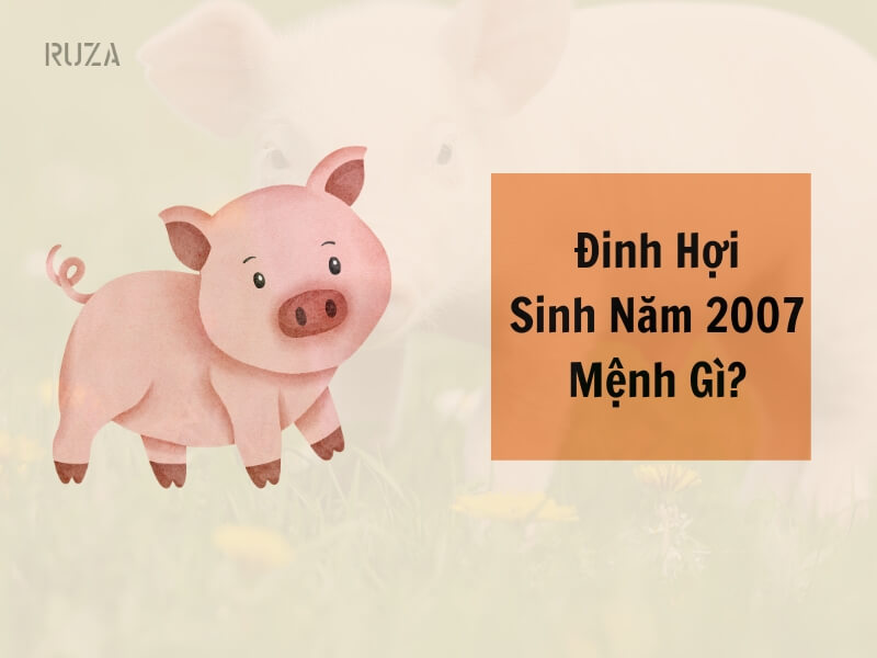 Tuổi Đinh Hợi 2007 Mệnh Gì? Hợp Với Tuổi Gì, Hợp Màu Gì? 1 Sinh năm 2007 mệnh gì?