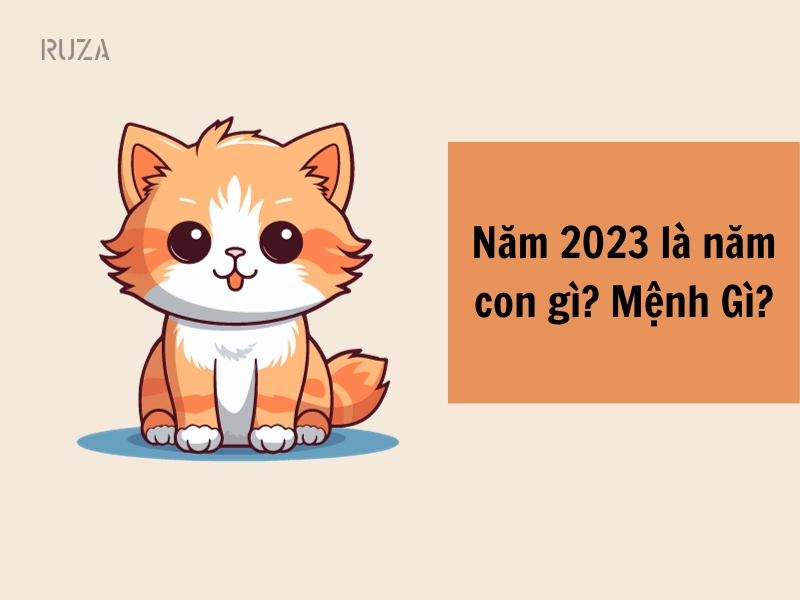 Năm 2023 là năm con gì?