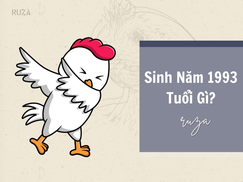 Tuổi Quý Dậu 1993 Mệnh Gì? Hợp Với Tuổi Gì, Hợp Màu Gì? 3 Sinh năm 1993 tuổi gì?