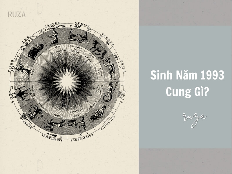 Tuổi Quý Dậu 1993 Mệnh Gì? Hợp Với Tuổi Gì, Hợp Màu Gì? 4 Sinh năm 1993 thuộc cung gì?