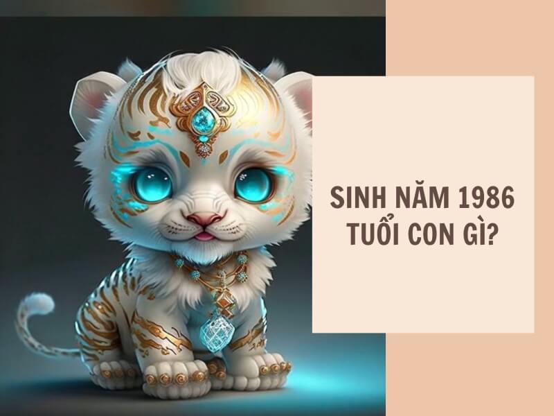 Tuổi Bính Dần 1986 Mệnh Gì? Hợp Với Tuổi Gì, Hợp Màu Gì? 3 Sinh năm 1986 tuổi gì?