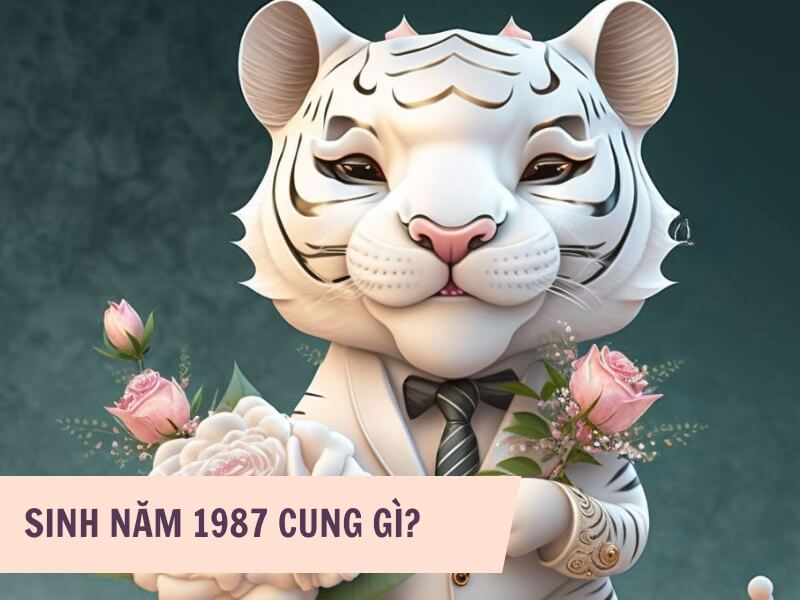 Tuổi Bính Dần 1986 Mệnh Gì? Hợp Với Tuổi Gì, Hợp Màu Gì? 5 Người sinh năm 1986 thuộc cung gi?