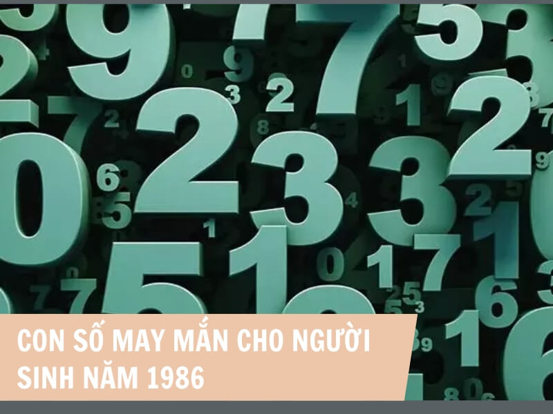 Tuổi Bính Dần 1986 Mệnh Gì? Hợp Với Tuổi Gì, Hợp Màu Gì? 7 Con số phù hợp với người sinh năm 1986