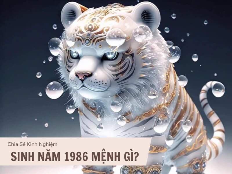 Tuổi Bính Dần 1986 Mệnh Gì? Hợp Với Tuổi Gì, Hợp Màu Gì? 1 Sinh năm 1986 mệnh gì?