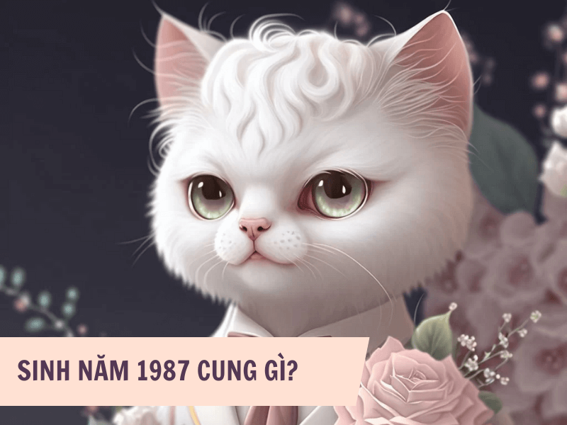 Tuổi Đinh Mão 1987 Mệnh Gì? Hợp Với Tuổi Gì, Hợp Màu Gì? 5 Người sinh năm 1987 thuộc cung gì?