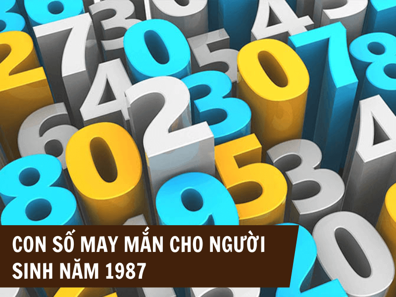 Tuổi Đinh Mão 1987 Mệnh Gì? Hợp Với Tuổi Gì, Hợp Màu Gì? 7 Con số phù hợp với người sinh năm 1987