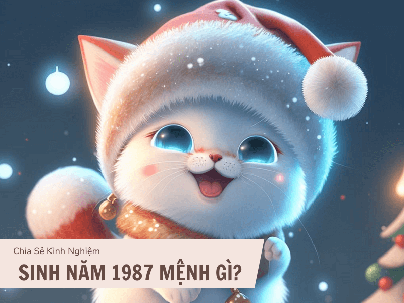 Tuổi Đinh Mão 1987 Mệnh Gì? Hợp Với Tuổi Gì, Hợp Màu Gì? 1 Sinh năm 1987 mệnh gì?