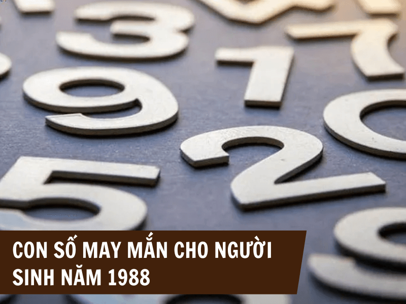 Con số phù hợp với người sinh năm 1988