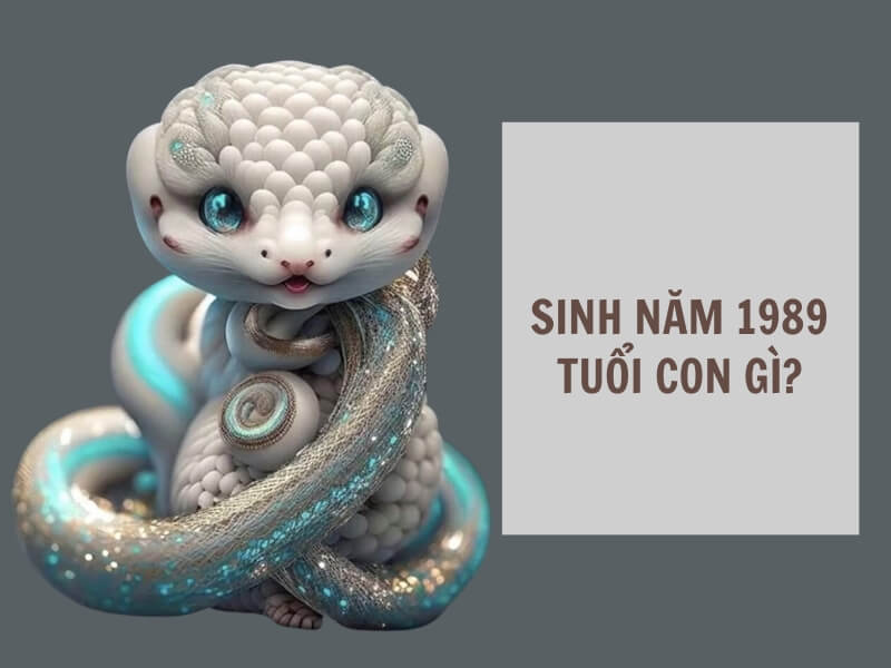 Tuổi Kỷ Tỵ 1989 Mệnh Gì? Hợp Với Tuổi Gì, Hợp Màu Gì? 3 Sinh năm 1989 tuổi con gì?