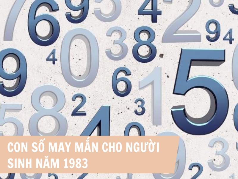 Con số phù hợp với người sinh năm 1983