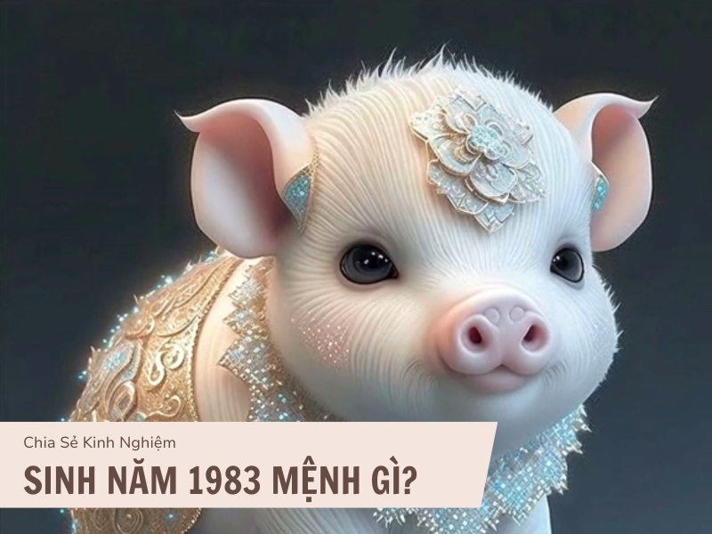 Tuổi Quý Hợi 1983 Mệnh Gì? Hợp Với Màu Gì, Hợp Tuổi Gì? 1 Sinh năm 1983 mệnh gì?