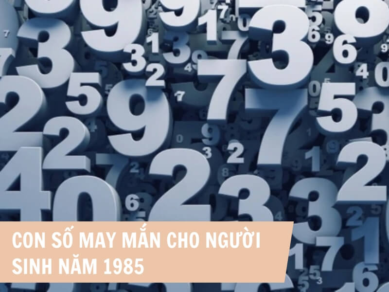 Tuổi Ất Sửu 1985 Mệnh Gì? Hợp Với Tuổi Gì, Hợp Màu Gì? 6 Con số phù hợp với người sinh năm 1985