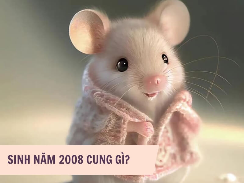 Tuổi Mậu Tý 2008 Mệnh Gì? Hợp Với Tuổi Gì, Hợp Màu Gì? 5 Người sinh năm 2008 thuộc cung gì?