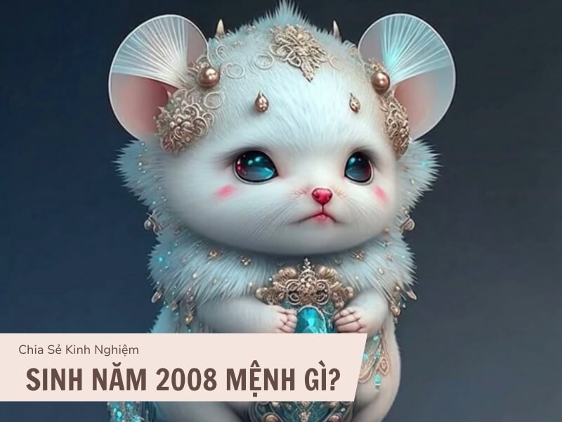 Tuổi Mậu Tý 2008 Mệnh Gì? Hợp Với Tuổi Gì, Hợp Màu Gì? 1 Sinh năm 2008 mệnh gì?
