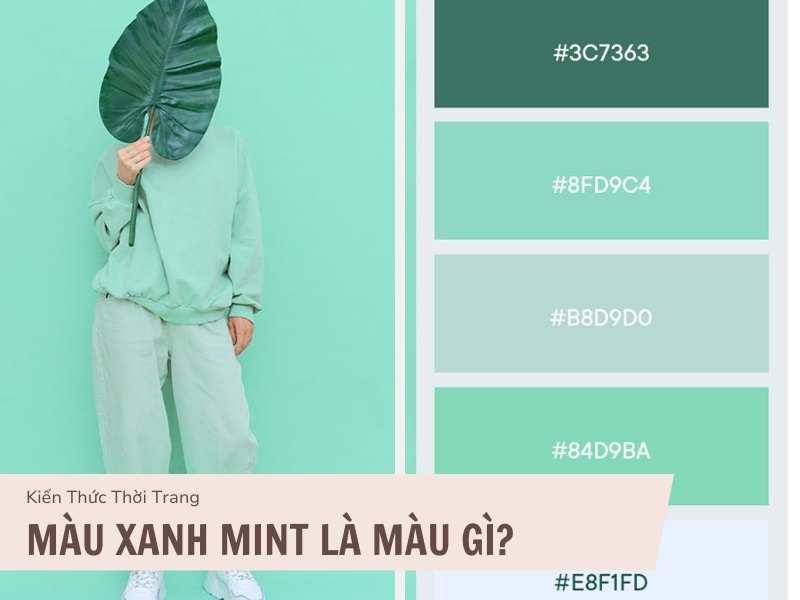 Màu xanh mint là màu gì?