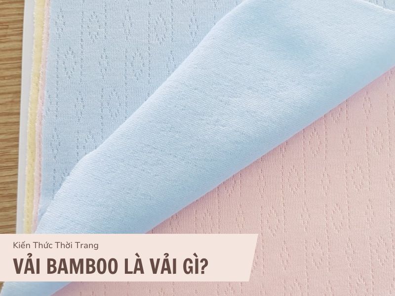 Vải bamboo Là Gì? Tìm Hiểu Ưu Và Nhược điểm Vải bamboo 1 Vải bamboo là gì?